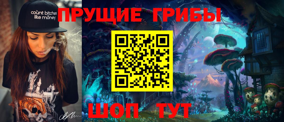 Псилоцибиновые грибы ЛСД Гусиноозёрск